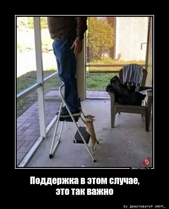 Поддержка в этом случае, это так важно