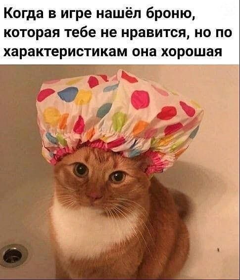 Скрины из соцсетей            