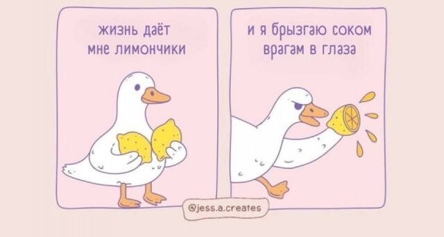 Скрины из соцсетей            