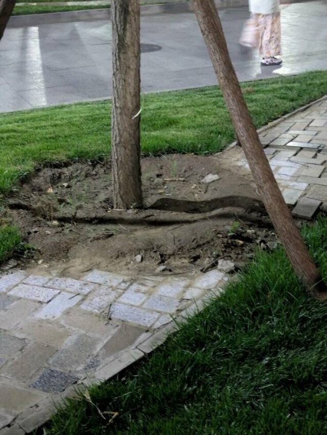 Намешалось 