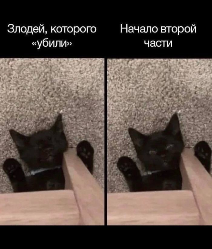 Не ищите здесь смысл. Здесь в основном маразм