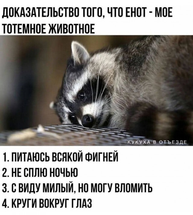 Не ищите здесь смысл. Здесь в основном маразм