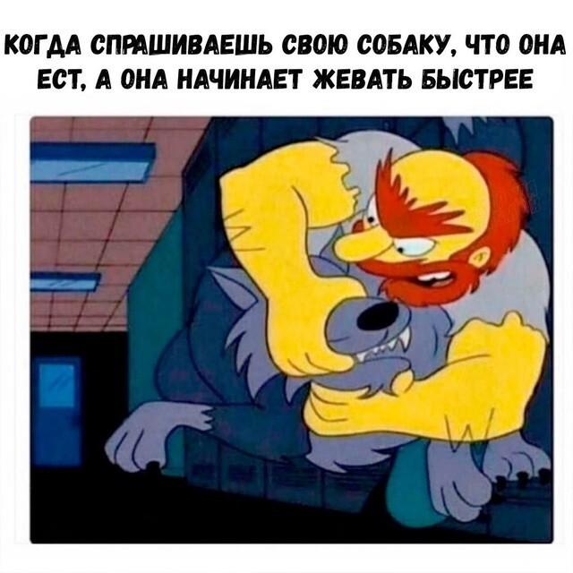 Не ищите здесь смысл. Здесь в основном маразм