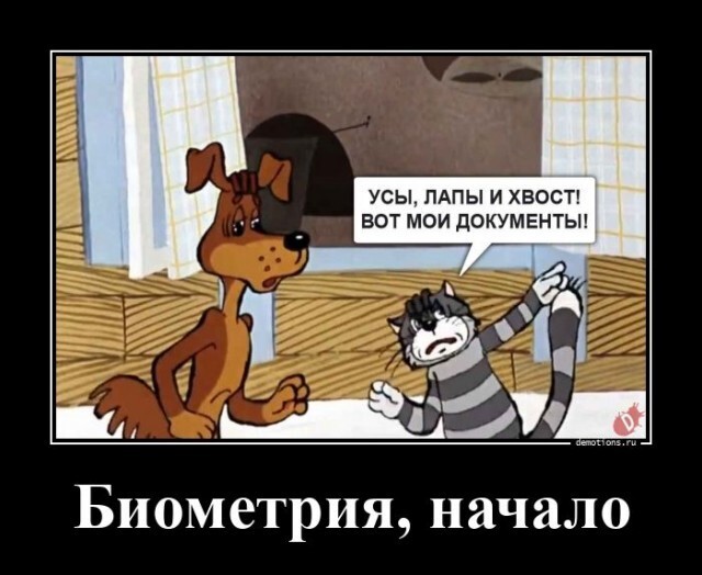 Не ищите здесь смысл. Здесь в основном маразм