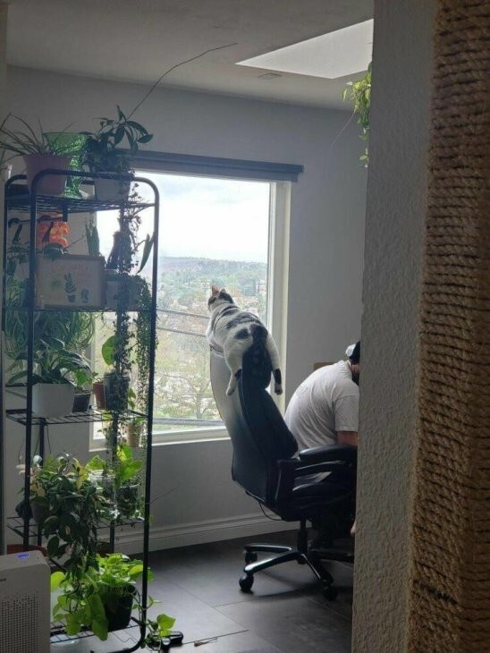 Всё вразнобой 