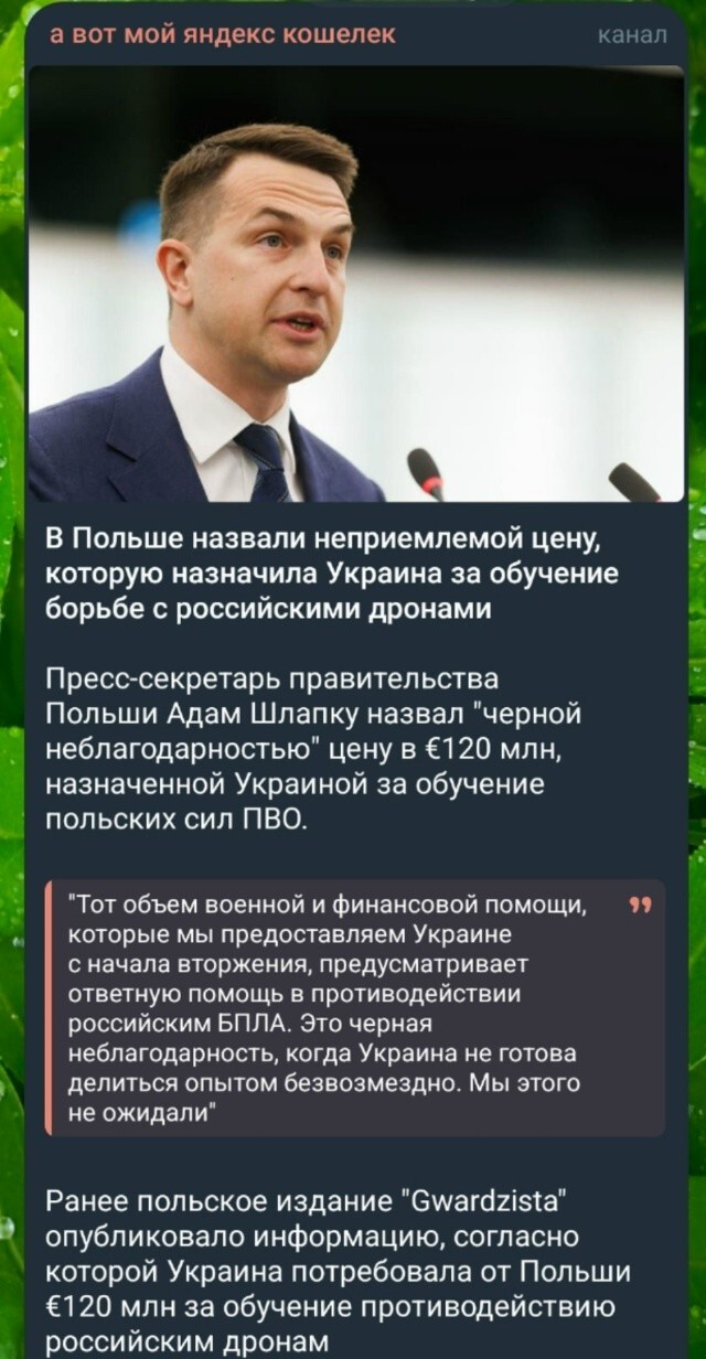 Похоже на правду
