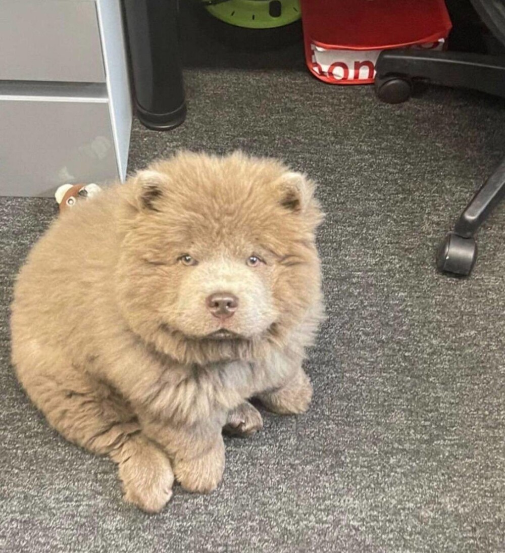 На общую тему 
