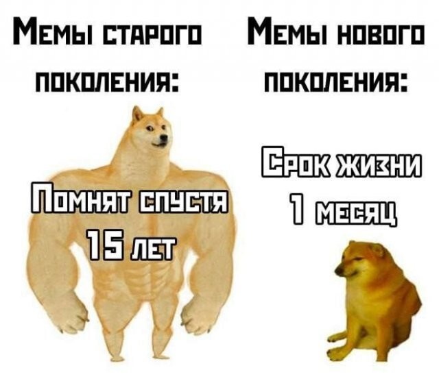 Скрины из соцсетей            