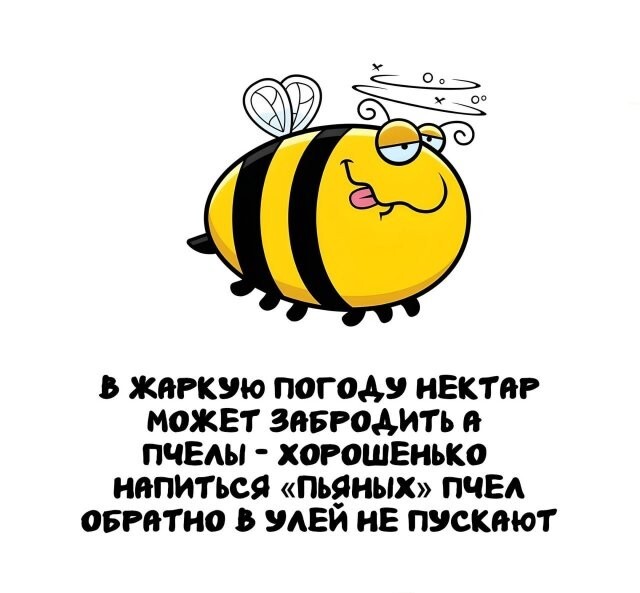 А вдруг ты не знал…
