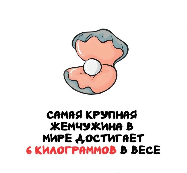 А вдруг ты не знал…