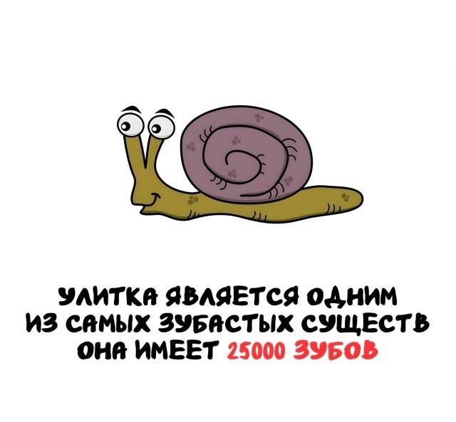 А вдруг ты не знал…