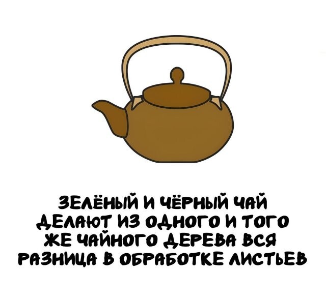 А вдруг ты не знал…