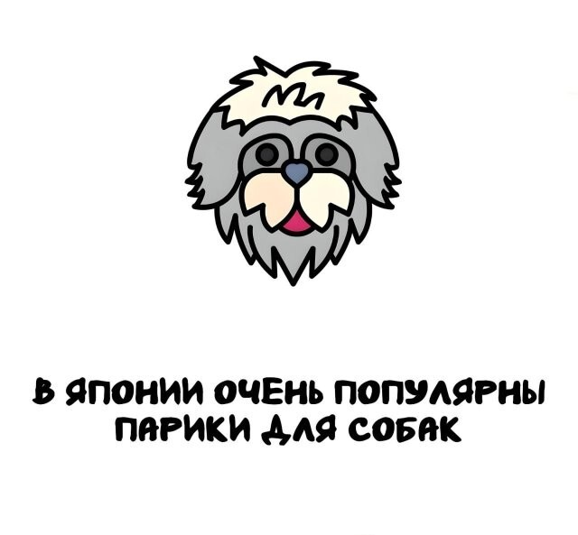 А вдруг ты не знал…