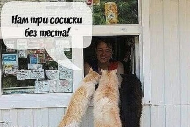 Не ищите здесь смысл. Здесь в основном маразм