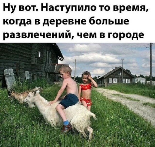 Не ищите здесь смысл. Здесь в основном маразм