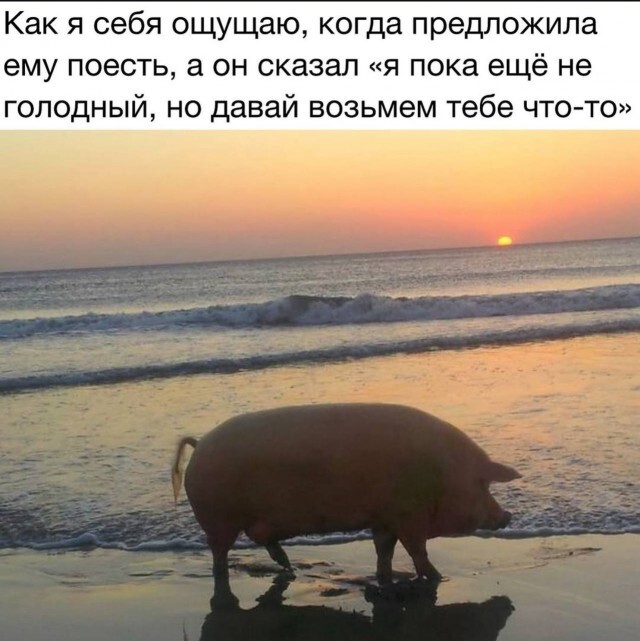 Не ищите здесь смысл. Здесь в основном маразм