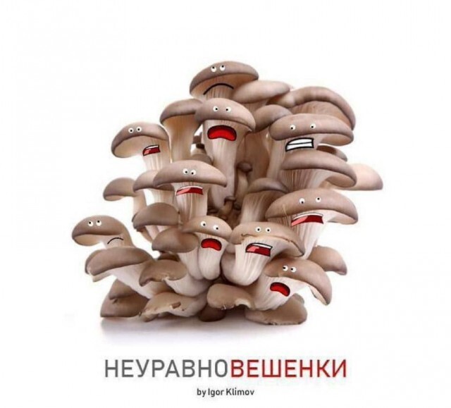 Не ищите здесь смысл. Здесь в основном маразм
