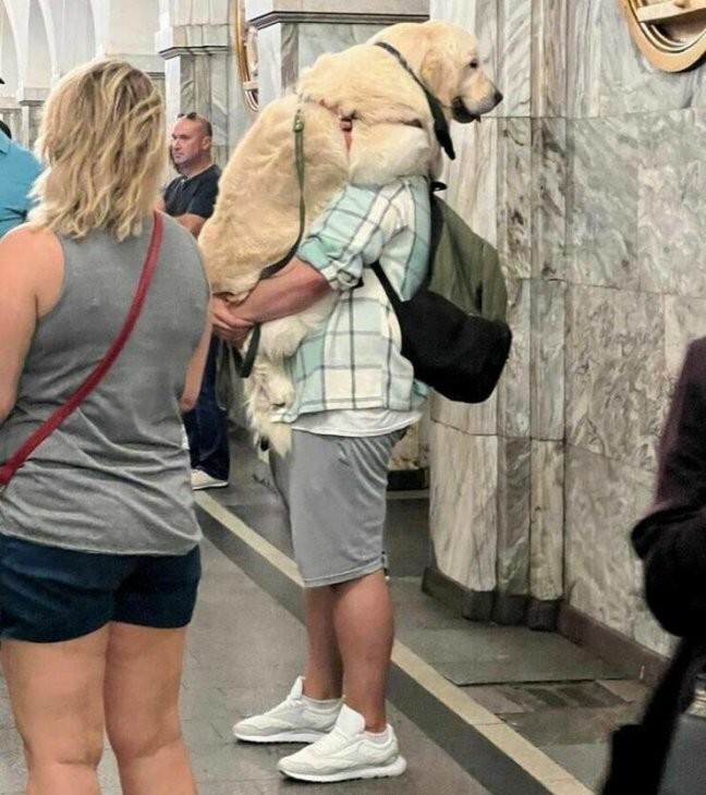 Всё вразнобой 