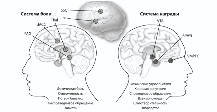 1. Идентичные переживания