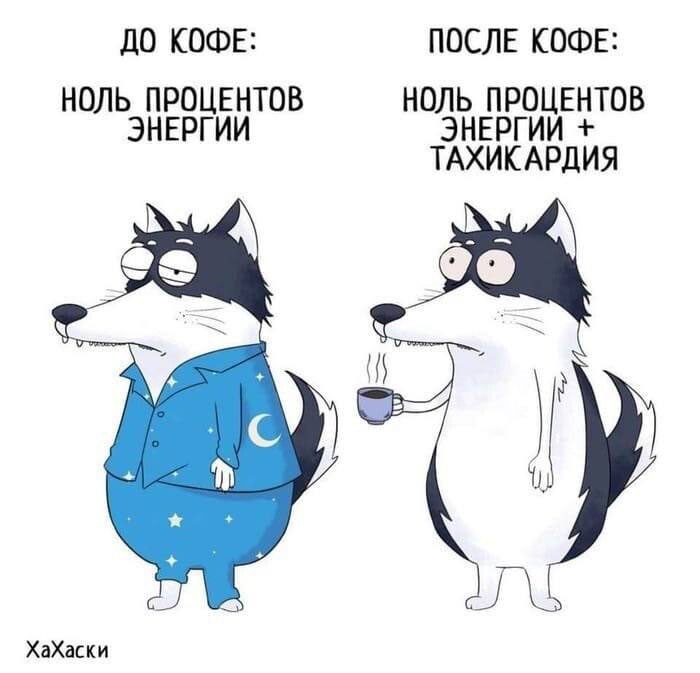 Подборка юмора и фактов о кофе и не только
