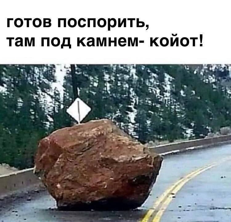 13. Вот и всё, ребята!