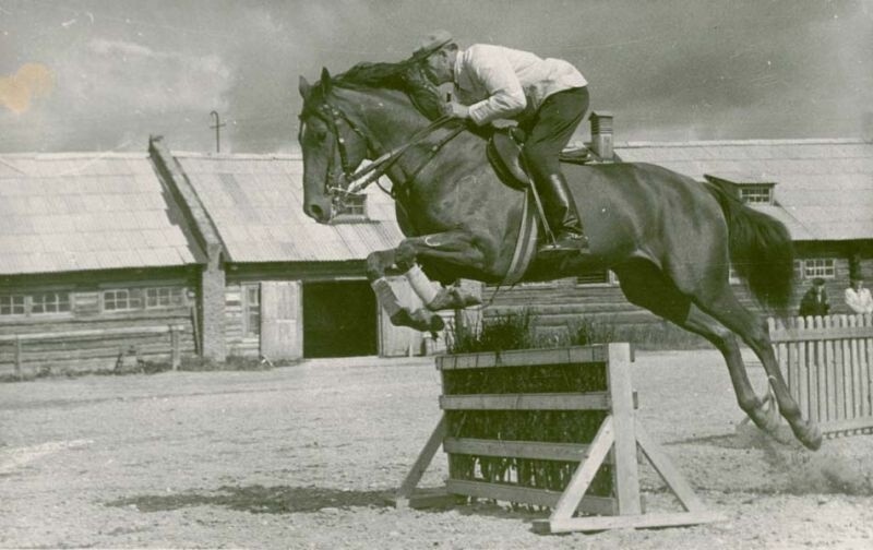 Скачки с препятствиями. 3 сентября 1961 года. Автор: Г. Ефимовский. Череповец.