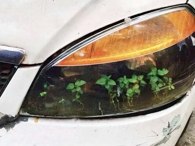АвтоВсячина