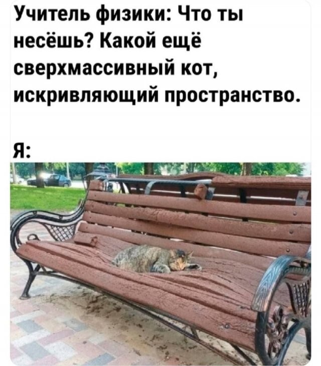 Скрины из соцсетей            