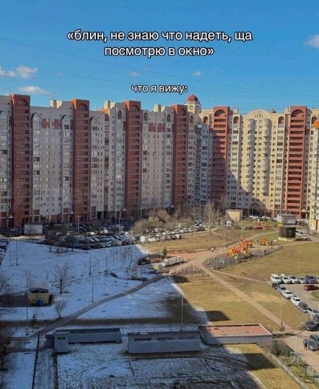 Скрины из соцсетей            