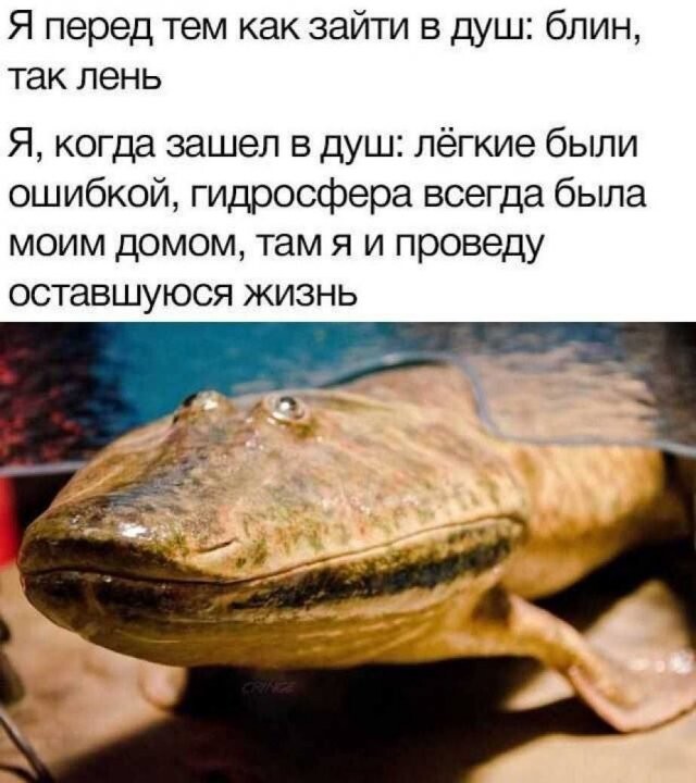 Скрины из соцсетей            