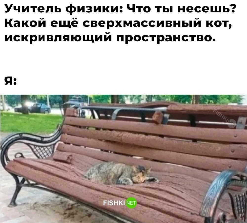 Скрины из соцсетей            
