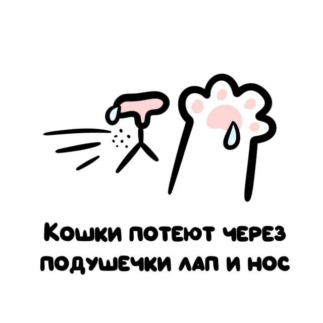 А вдруг ты не знал…