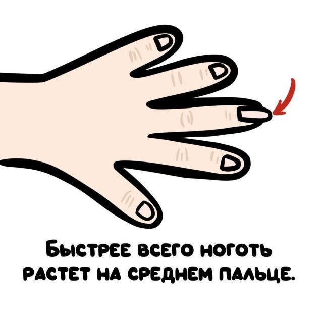 А вдруг ты не знал…