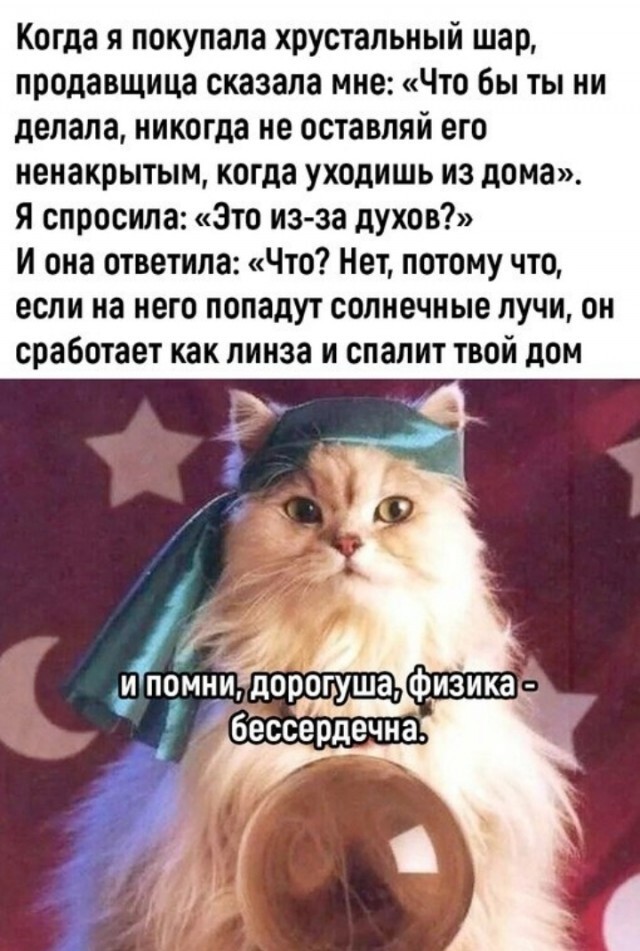 Веселые картинки