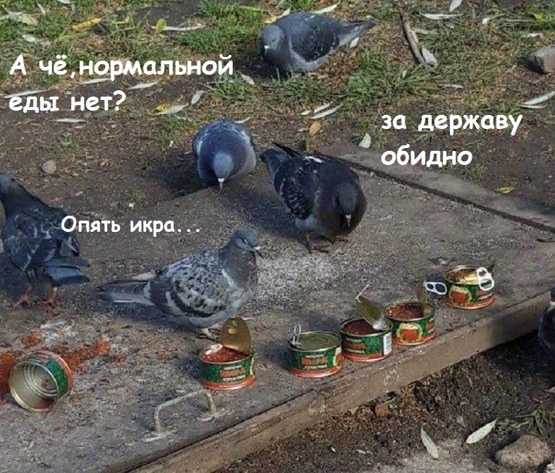 Веселые картинки