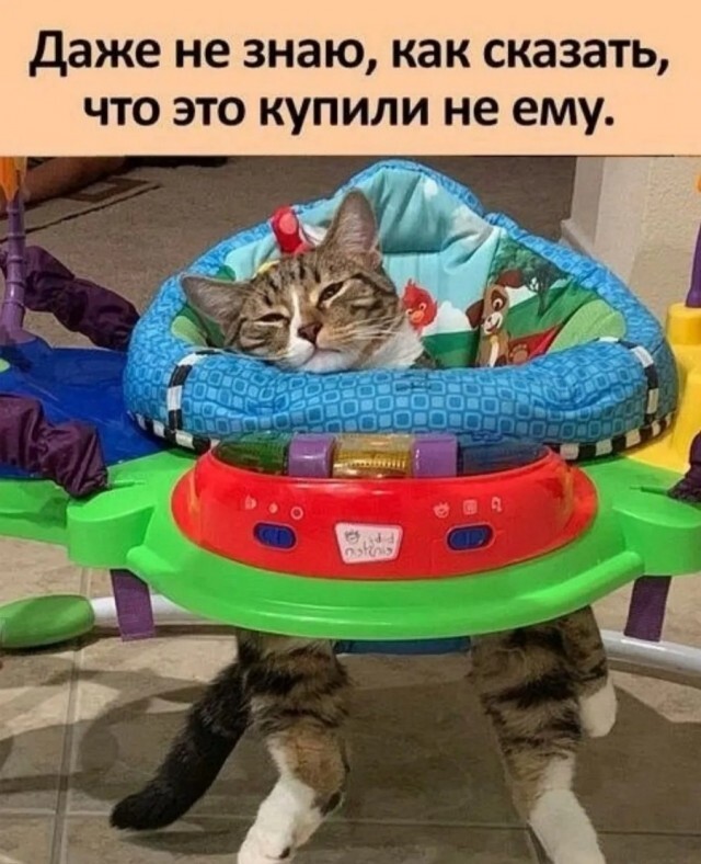Веселые картинки