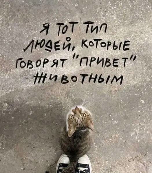 Веселые картинки