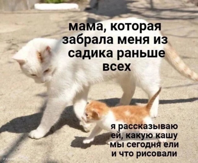 Веселые картинки