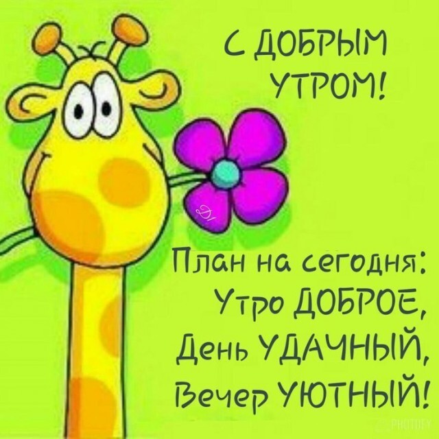 Веселые картинки