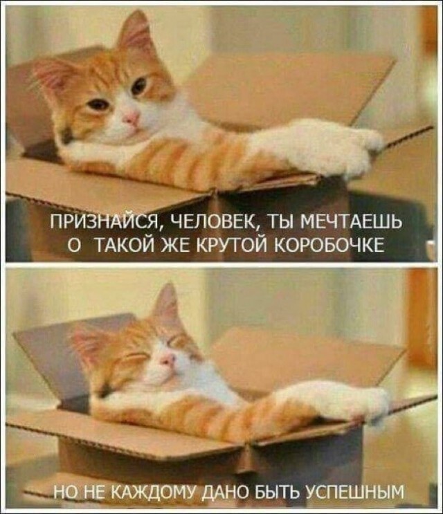 Веселые картинки