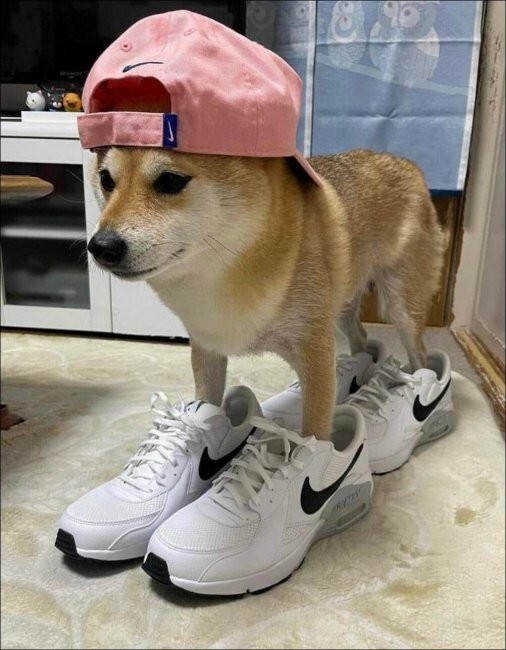 Всё вразнобой 