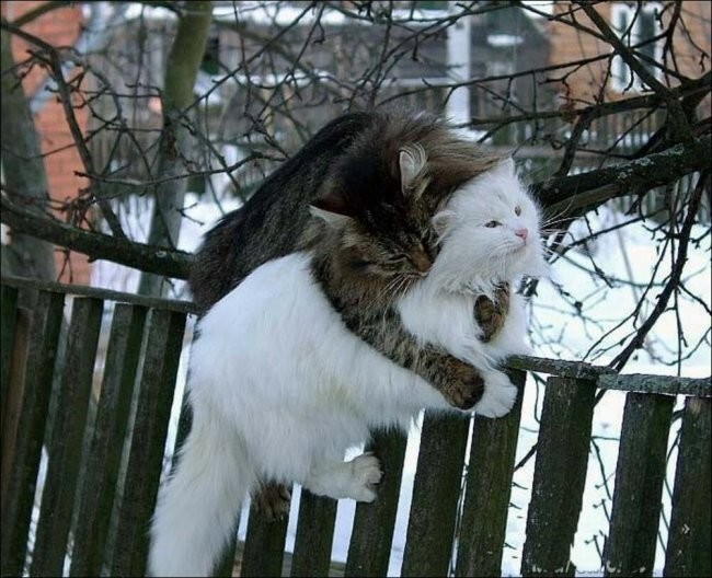 Всё вразнобой 