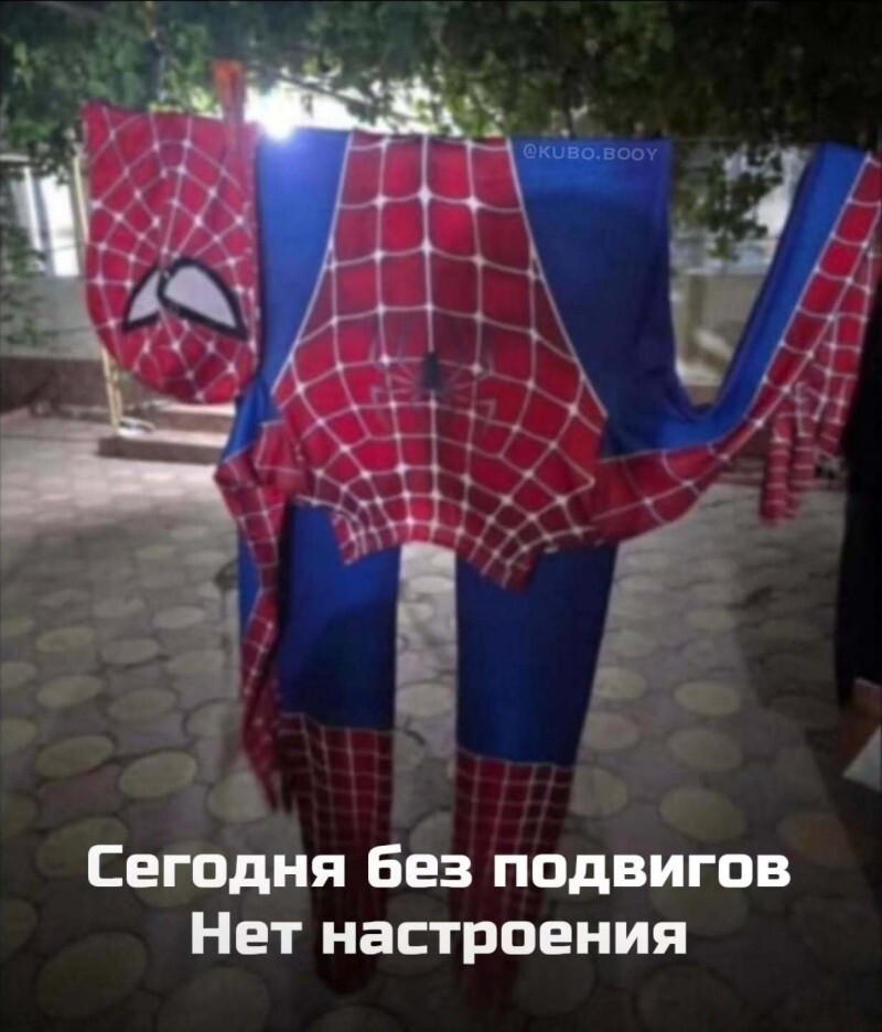 Неореализма вам в ленту