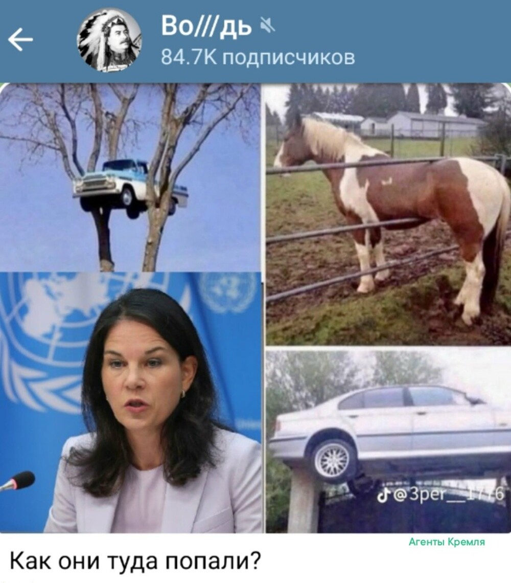 Удивительные случаи в истории