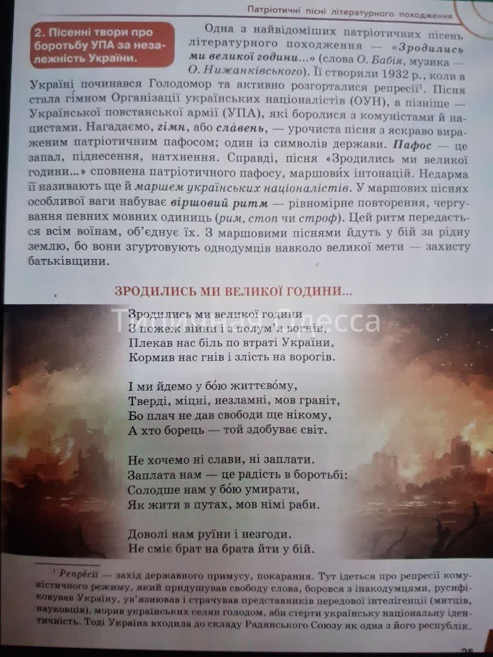Украинская литература, 7 класс. Вы кого вырастить хотите, идиоты? 
