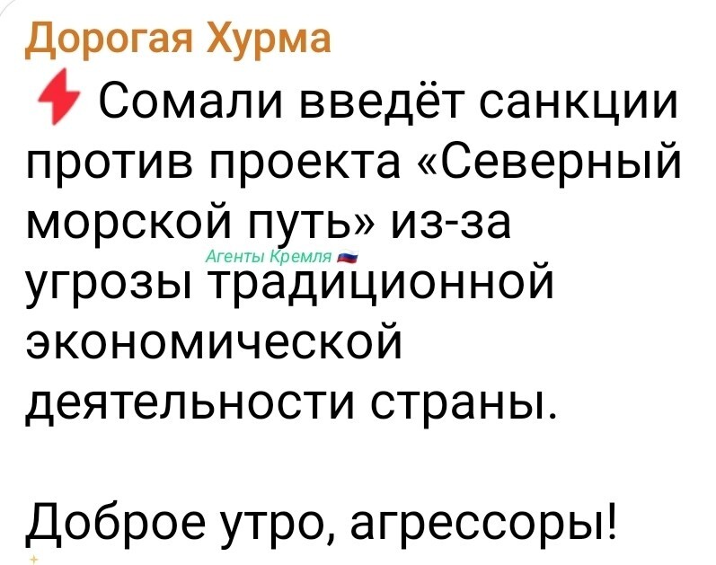 Представила лица пиратов, встретивших медведей на Севморпути