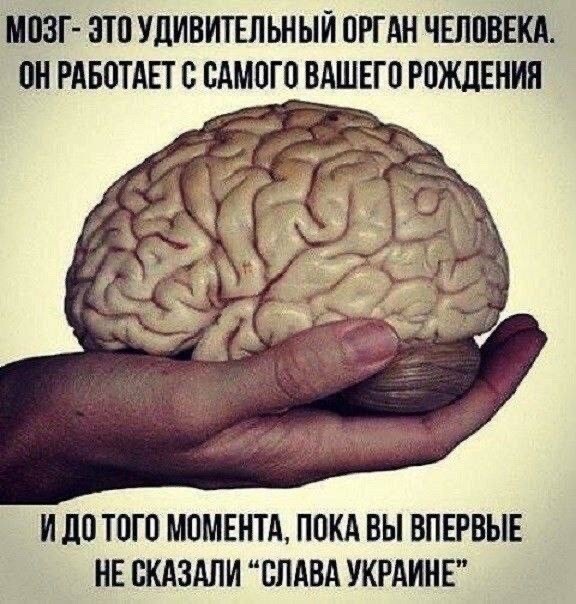 Политика , политика , политика