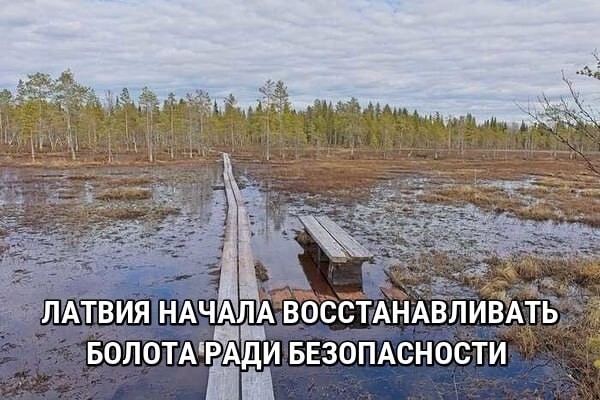 Политика , политика , политика