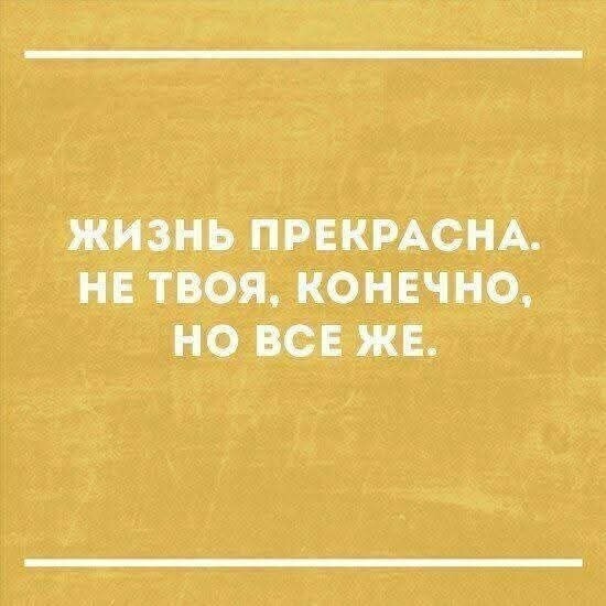 Скрины из соцсетей            