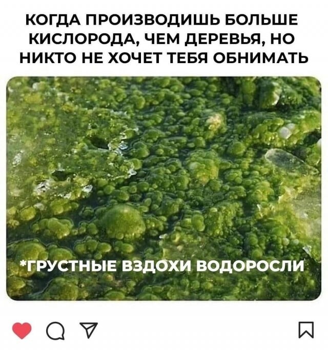 Скрины из соцсетей            